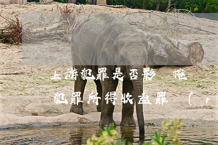 上游犯罪是否影響掩飾、隱瞞犯罪所得、犯罪所得收益罪認(rèn)定的裁判規(guī)則